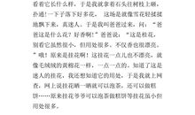 关于花的作文：校园里的桂花_500字