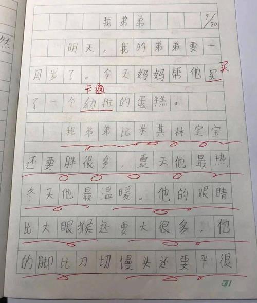 老人第二诗歌作文：向烈士致敬_300字