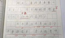 初二诗歌作文：致敬烈士_300字