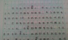 关于完美的作文：我的完美观_550字