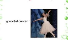 The Attractive Translators_900字