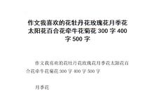 关于花的作文：如果我是玫瑰花_450字