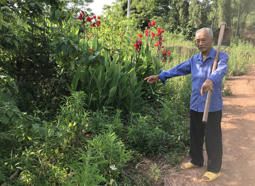 用鲜花的组成：种植诚信，飞过一个中国梦_750字