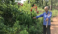 关于花的作文：种下诚信花，放飞中国梦_750字