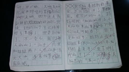 初级第二诗歌作文：劳动节（2）_350字