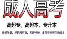 让绊脚石成为垫脚石_350字