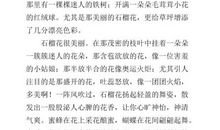 关于花的作文：我爱茉莉花_750字