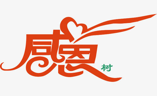 我很感激，所以我撕裂了_350字