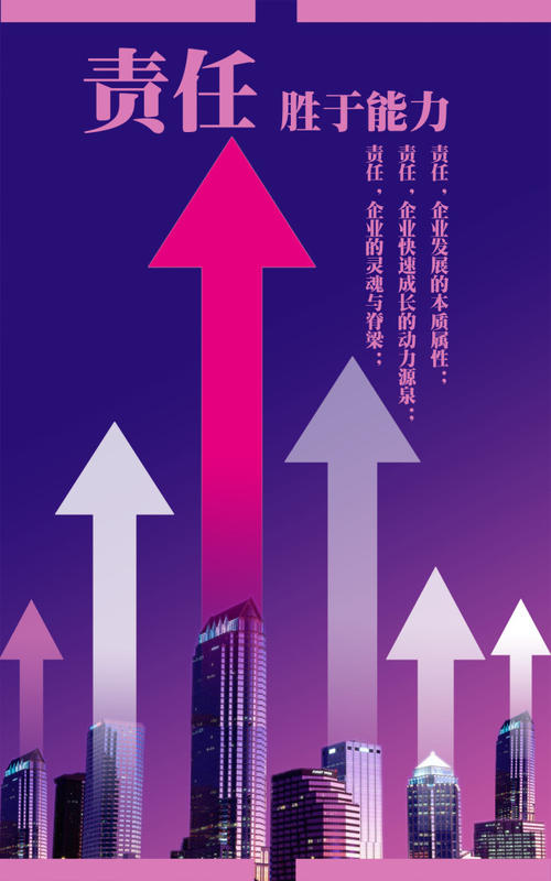 我是电视_800字