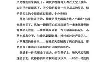 2012年的我——年终总结_450字