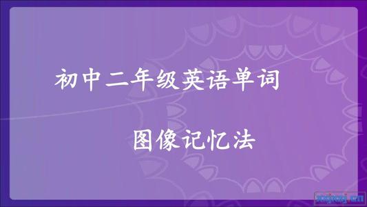 305内存_2000字