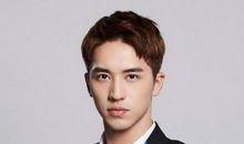 初二诗歌：王者_200字