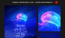 初二诗歌：仲夏夜之梦_150字