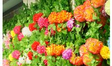 清明节扫墓_200字