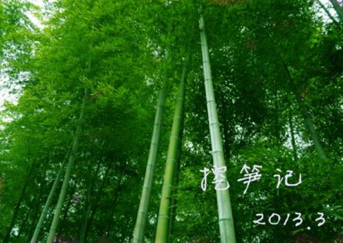 挖竹射击_300字