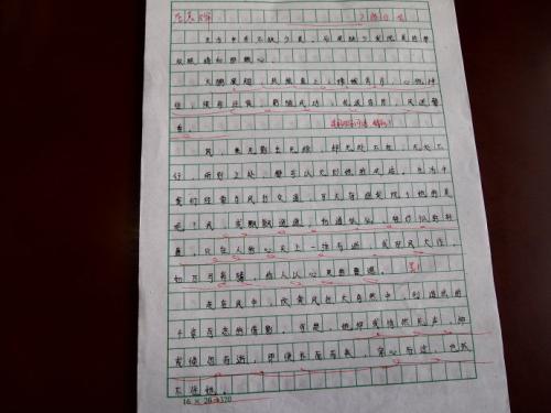 [主题组合]我采取了驾驶执照_900字