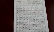 【话题作文】我考取驾照了_900字