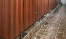 初春随想_1500字