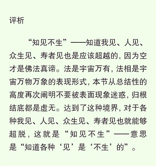 第三十一产品