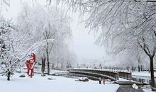 好一场春雪_900字