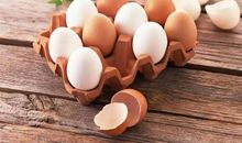 鸡蛋的营养价值_700字