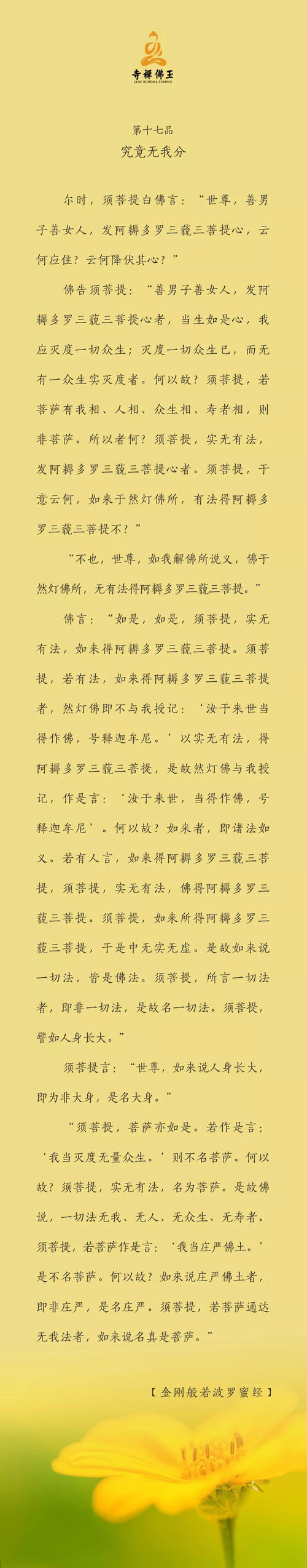 第十七产品不是我的部门