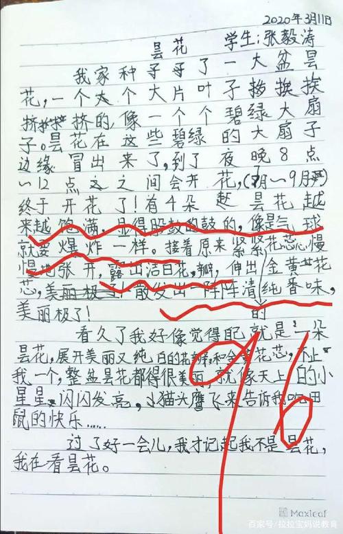 心理学构成：心理支持_800字