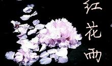 流水落花_1200字