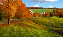 秋天的美丽_650字