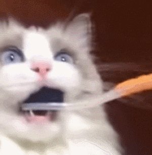 我帮助小猫刷牙_450字
