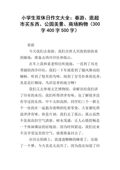 访问超市_300字