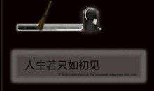 人生若只如初见_900字