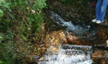 甘甜的泉水_1200字