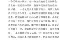 高三状物作文：会开花的根_800字