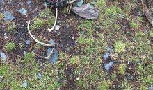 一次难忘的假期活动_550字