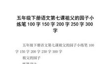 少四汇报课_200字