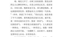 高三状物作文：槐花飘香_800字