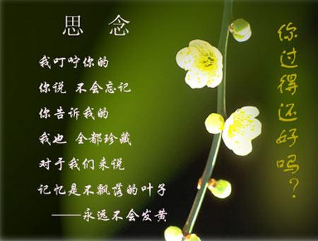 友谊珍贵_500字