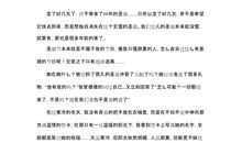 高三状物作文：桃花开了_1200字