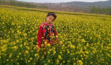 名人眼中的春天