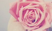 不完美也是一种美_600字