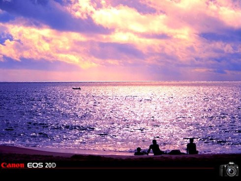 白天与海之间的距离_1200字