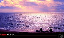 天与海的距离_1200字