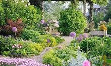 我心目中的桃花源_500字