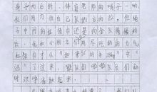 “打工”记 　_600字