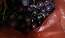 我爱吃葡萄_300字