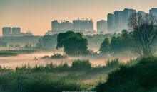 夏天的校园早晨_450字