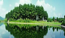 还我清香世界_100字