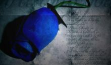 孤单情人节_200字