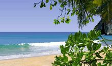 关于夏天的作文：夏天的味道_150字